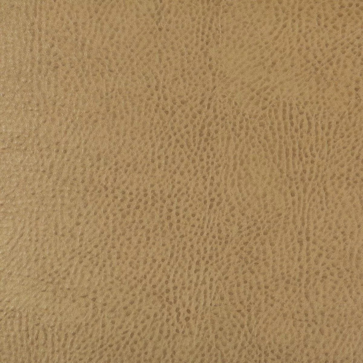 Kravet Design Beholder-16 Fabric