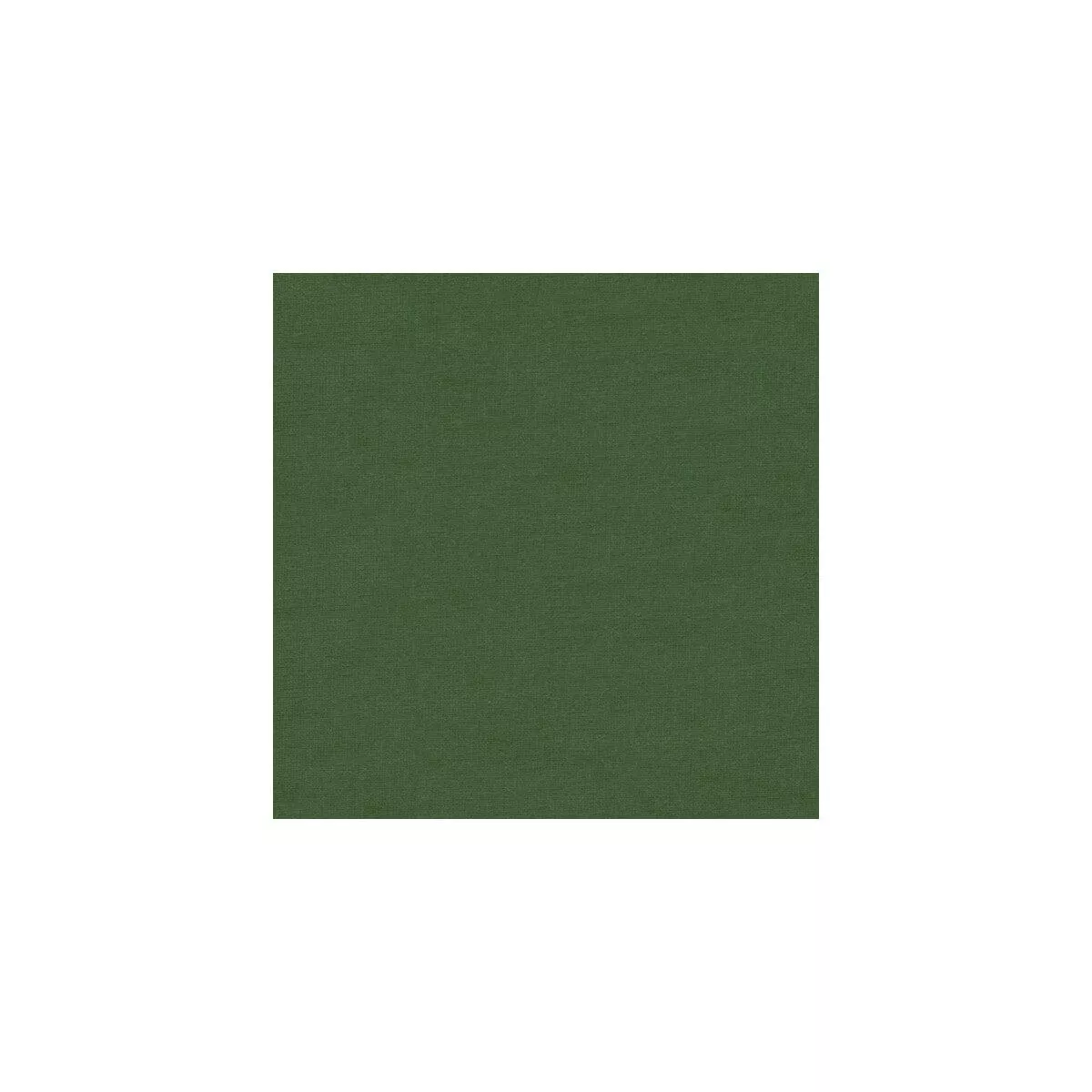 Kravet Design Versailles-E266100 Fabric