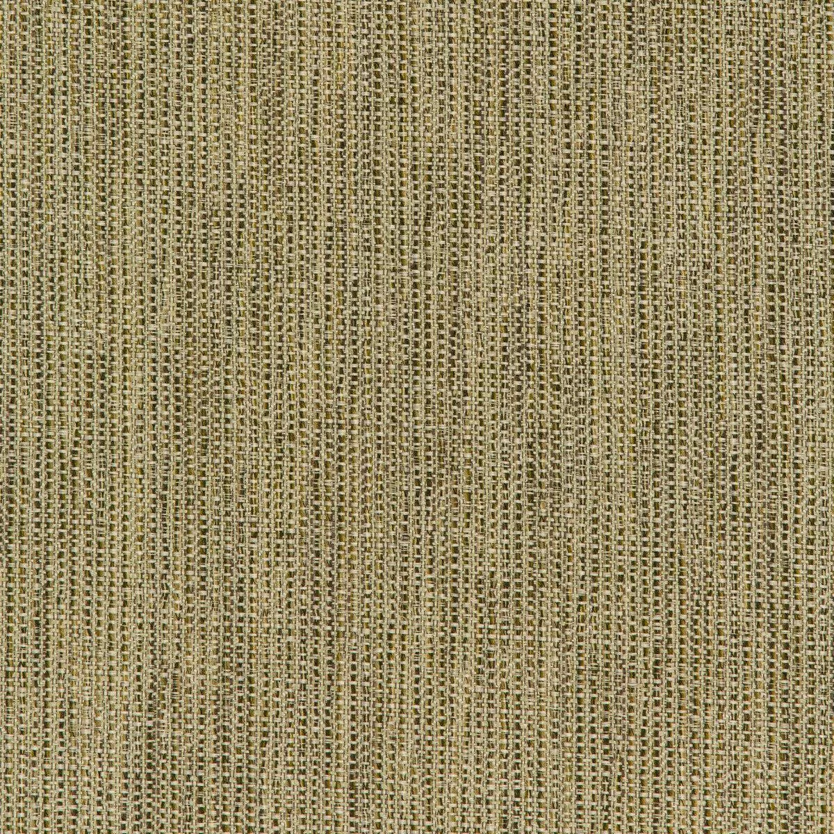 Kravet Smart 35965-316 Fabric