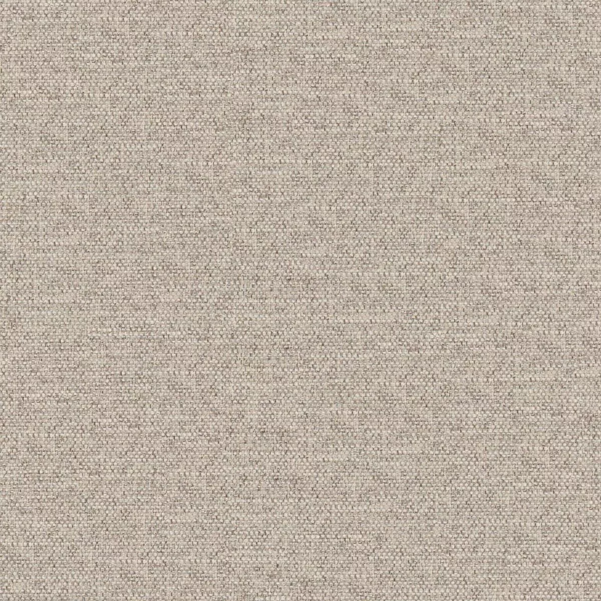 maxwell-castor-sponge-fabric-by-yard-925-sponge Maxwell – CASTOR – SPONGE – Fabric by the Yard – 925 SPONGE