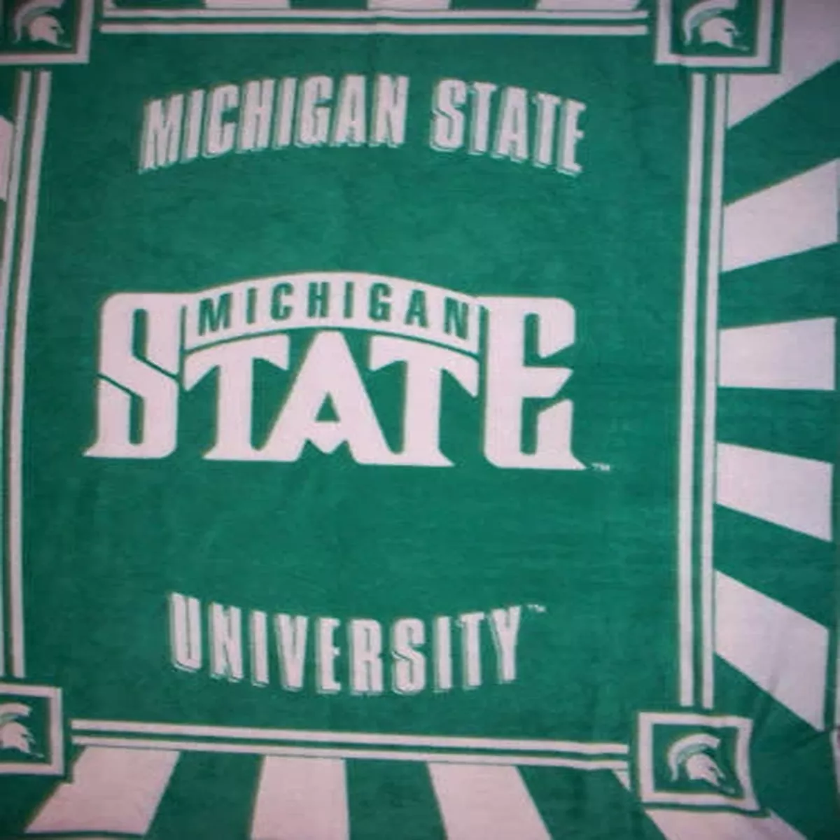MICHIGAN STATE UNIVERSITY MSU FLEECE FABRIC PANEL OOP