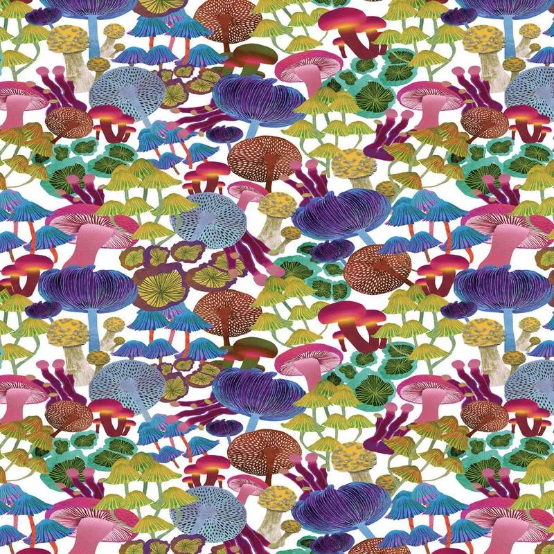 modern-mushrooms-allover-by-kate-segal-white-multi Modern Mushrooms Allover By Kate Segal White / Multi