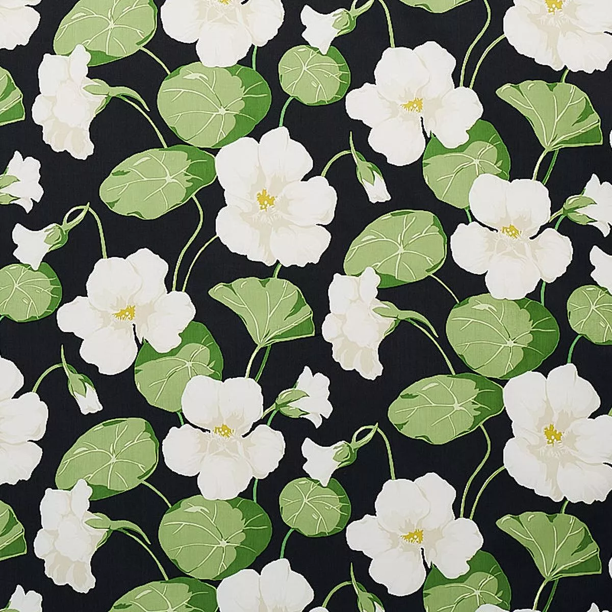 Nasturtium Noir Fabric