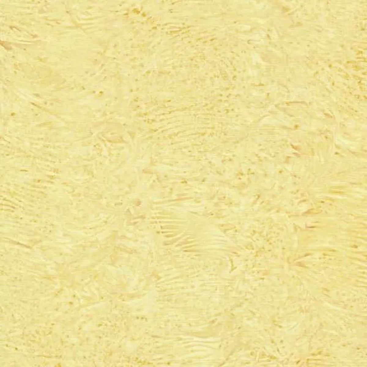 Neutrals Vanilla