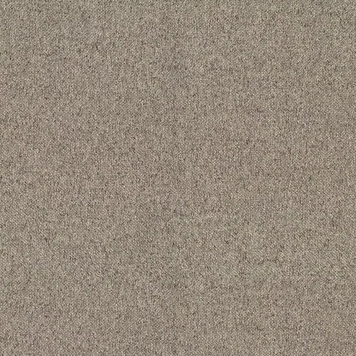 nicholasjohn-inc-nj-rain-fossil-solid-fabric-nj25-2448 NICHOLASJOHN INC NJ-RAIN Fossil Solid Fabric – NJ25-2448