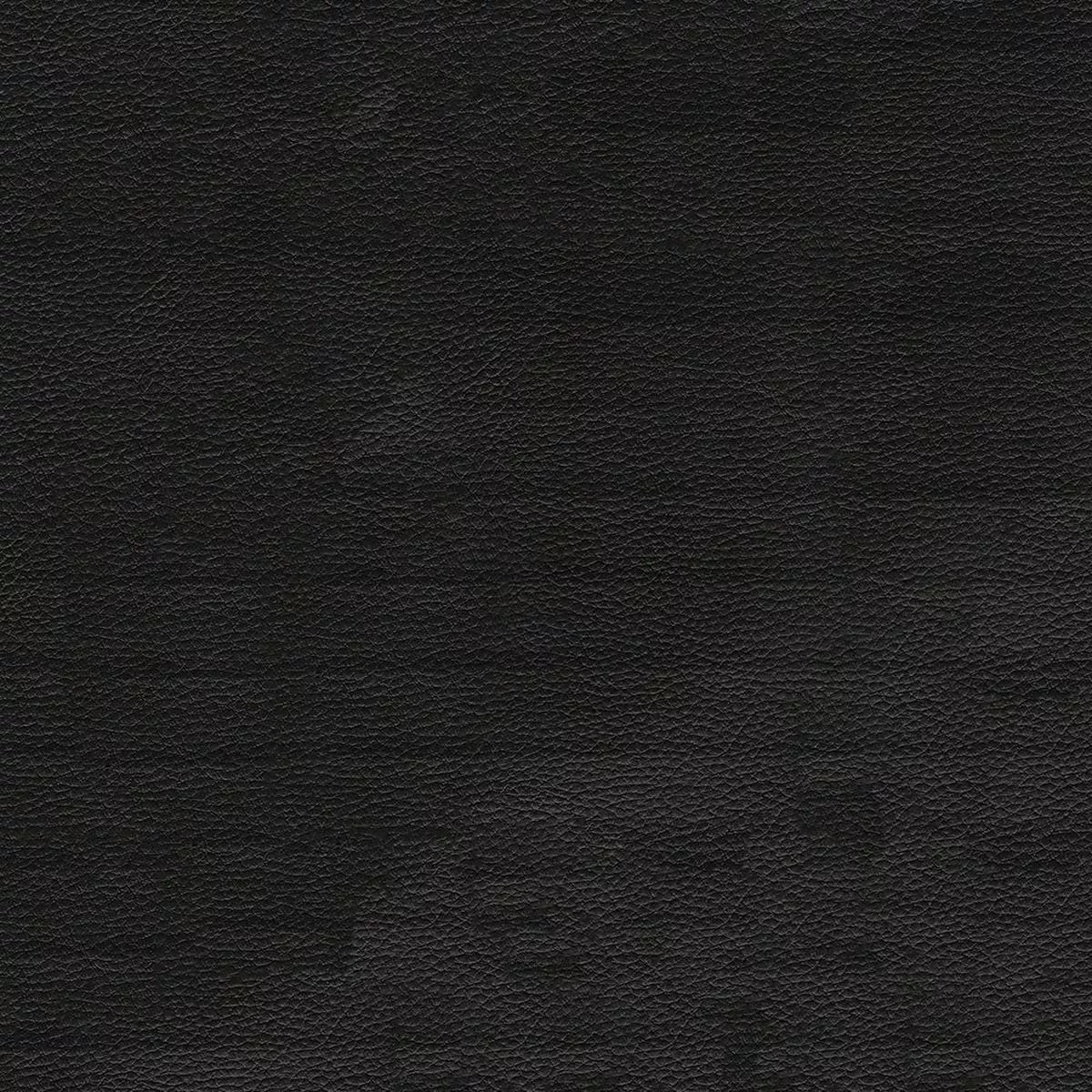 nicholasjohn-inc-nj-seal-black-solid-fabric-nj25-835 NICHOLASJOHN INC NJ-SEAL Black Solid Fabric – NJ25-835