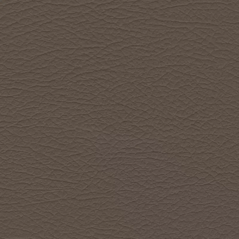 Nuance 2463 Med. Neutral Fabric