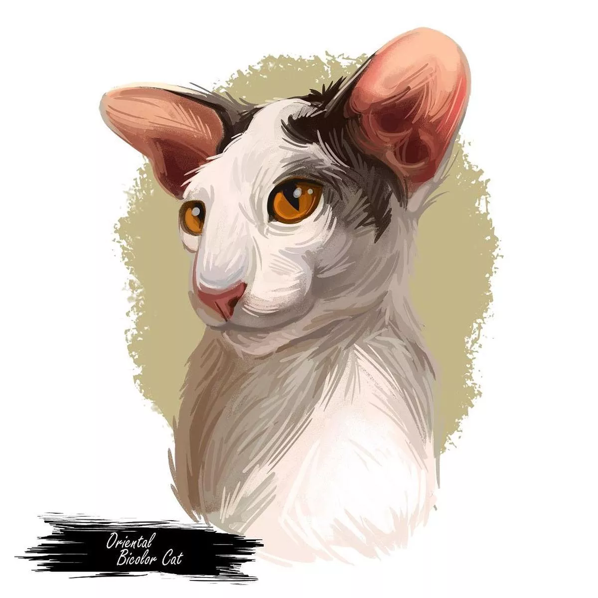 Oriental Bicolor Cat Portrait Fabric Panel