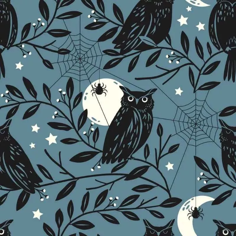 owls-2453-spellbound-sally-mountain Owls 2453 – Spellbound – Sally Mountain
