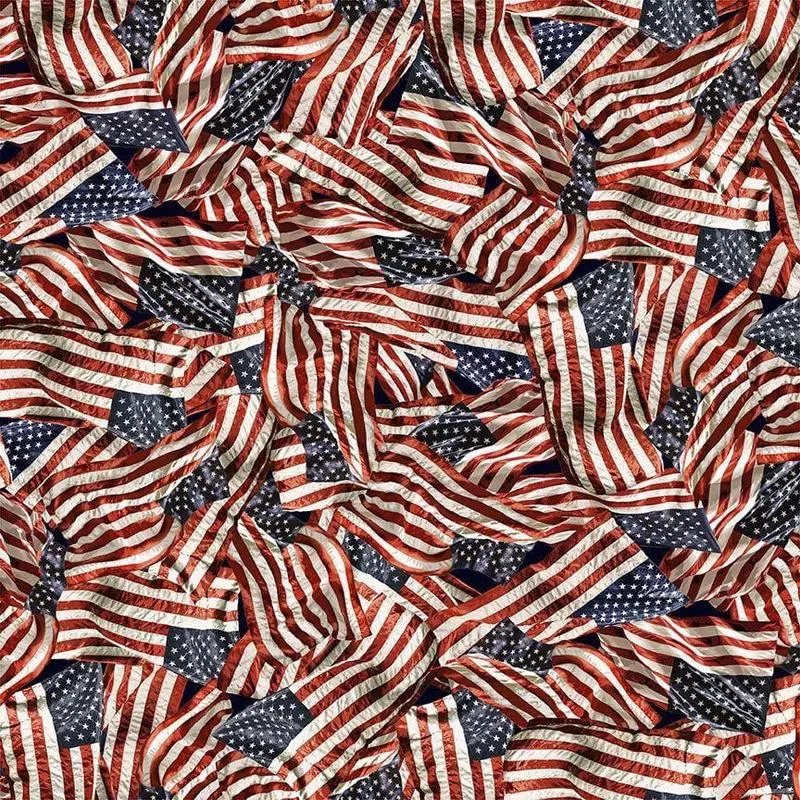 packed-american-flags-path-to-freedom Packed American Flags – Path to Freedom