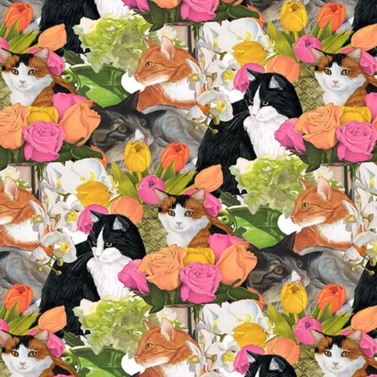 Packed Cats Pink by Blank Quilting
