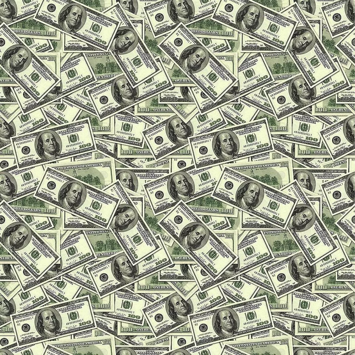 Packed Money Fabric