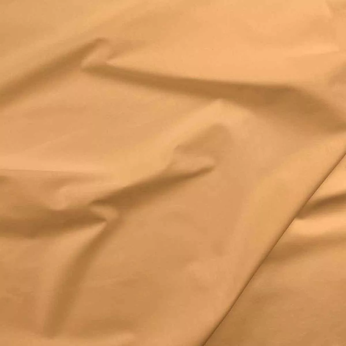 Paintbrush Studio – Painter’s Palette – Shortbread – 121-181 – Yardage