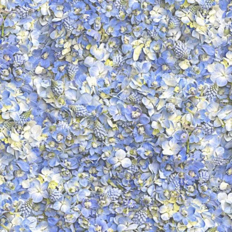 Pale Skies – Hand Picked – Forget Me Not