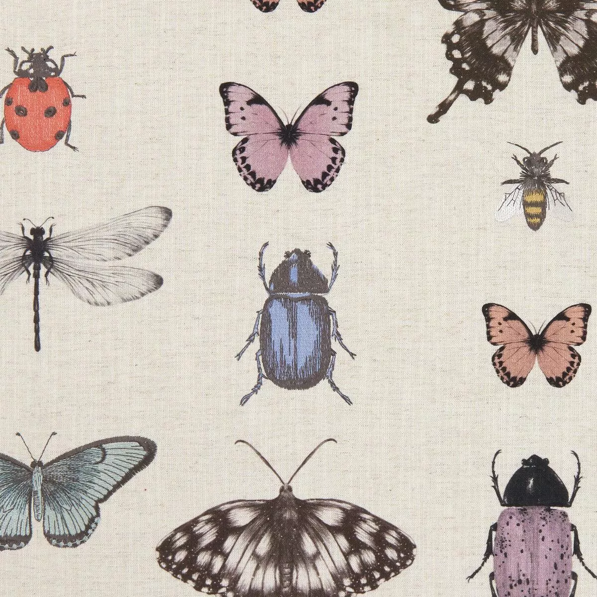 papilio-blush-natural-fabric Papilio Blush/Natural Fabric