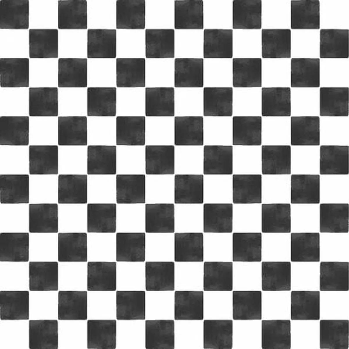 Paranormal Parade BlackWhite Check 8325-09
