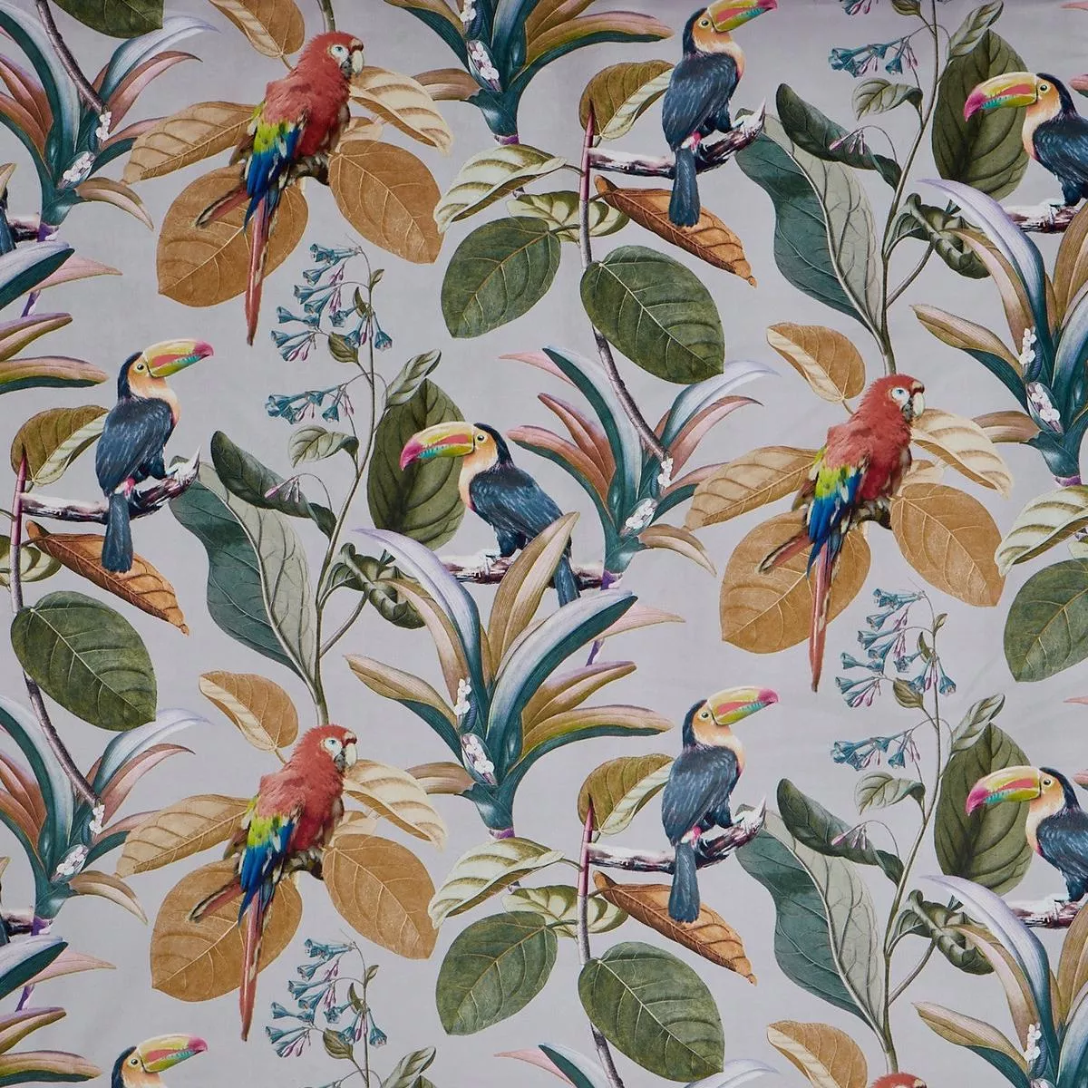parrot-amber-order-sample Parrot – Amber | Order A Sample