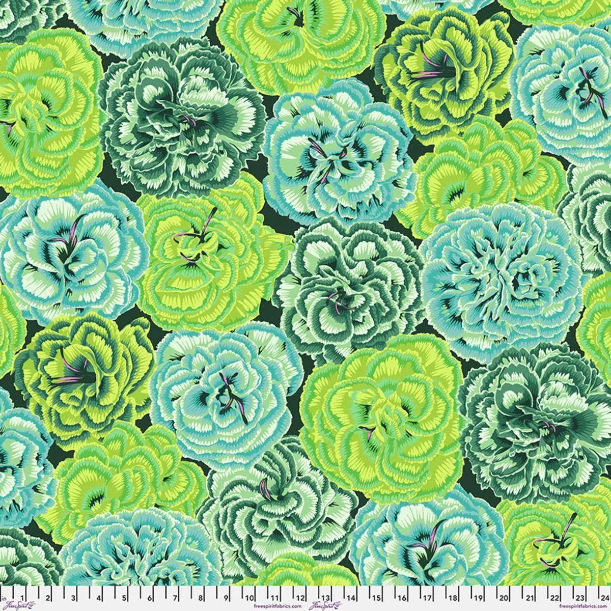 picotee-carnations-green-philip-jacobs Picotee Carnations Green for Philip Jacobs