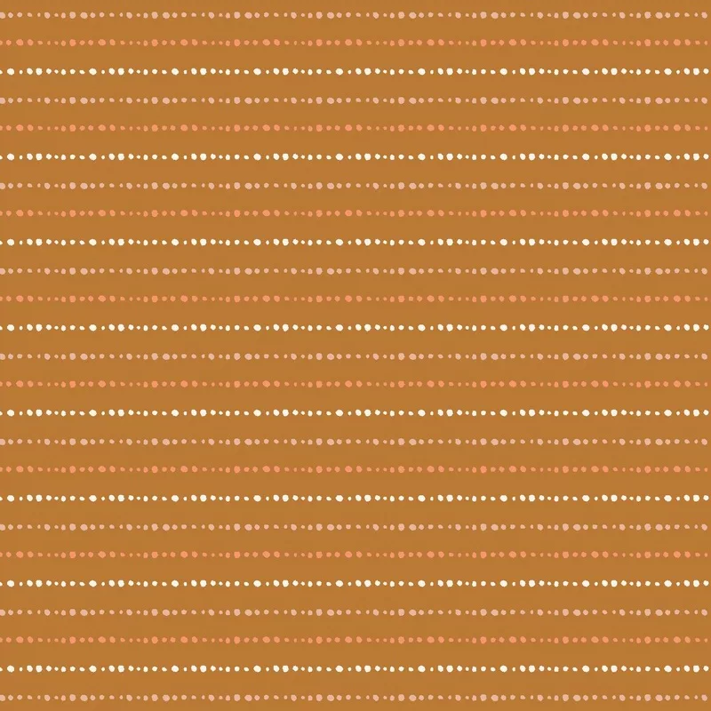polka-stripes-in-stone-path-marked-by-nature Polka Stripes in Stone Path | Marked by Nature