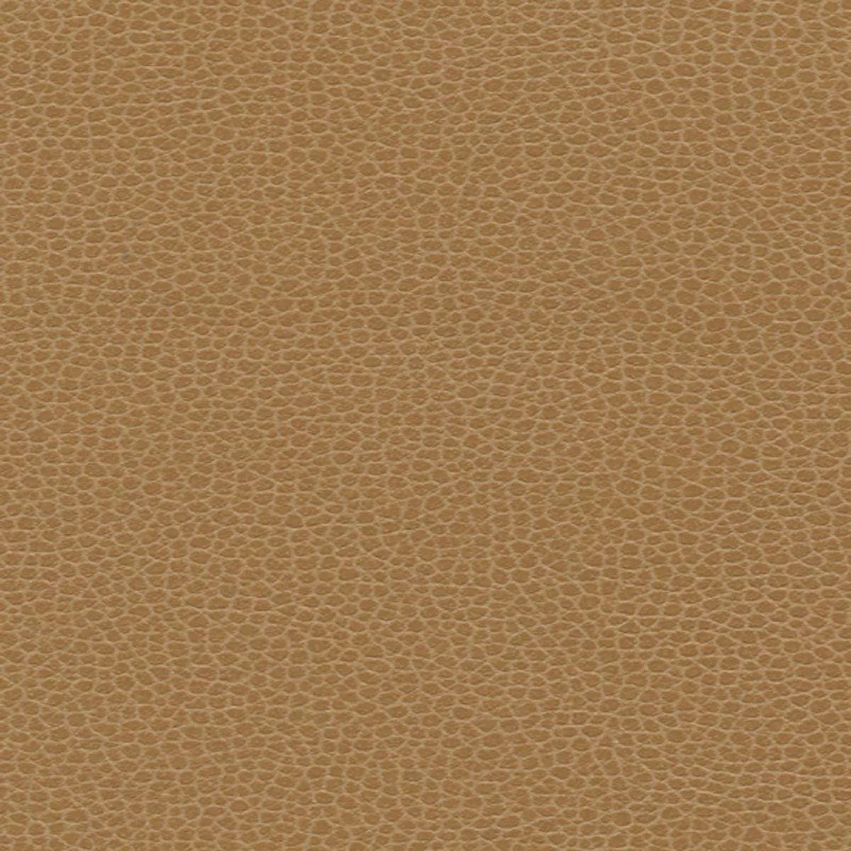 Promessa Camel Fabric