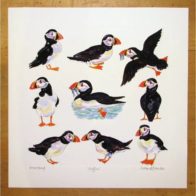 puffins-limited-edition-print-small-large Puffins Limited Edition Print (Small & Large)