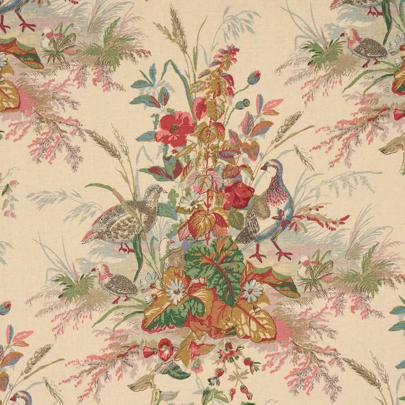 quail-meadow-summer QUAIL MEADOW | Summer