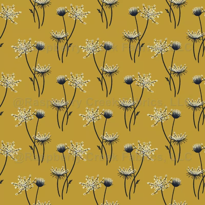 Queen Annes lace in yellow