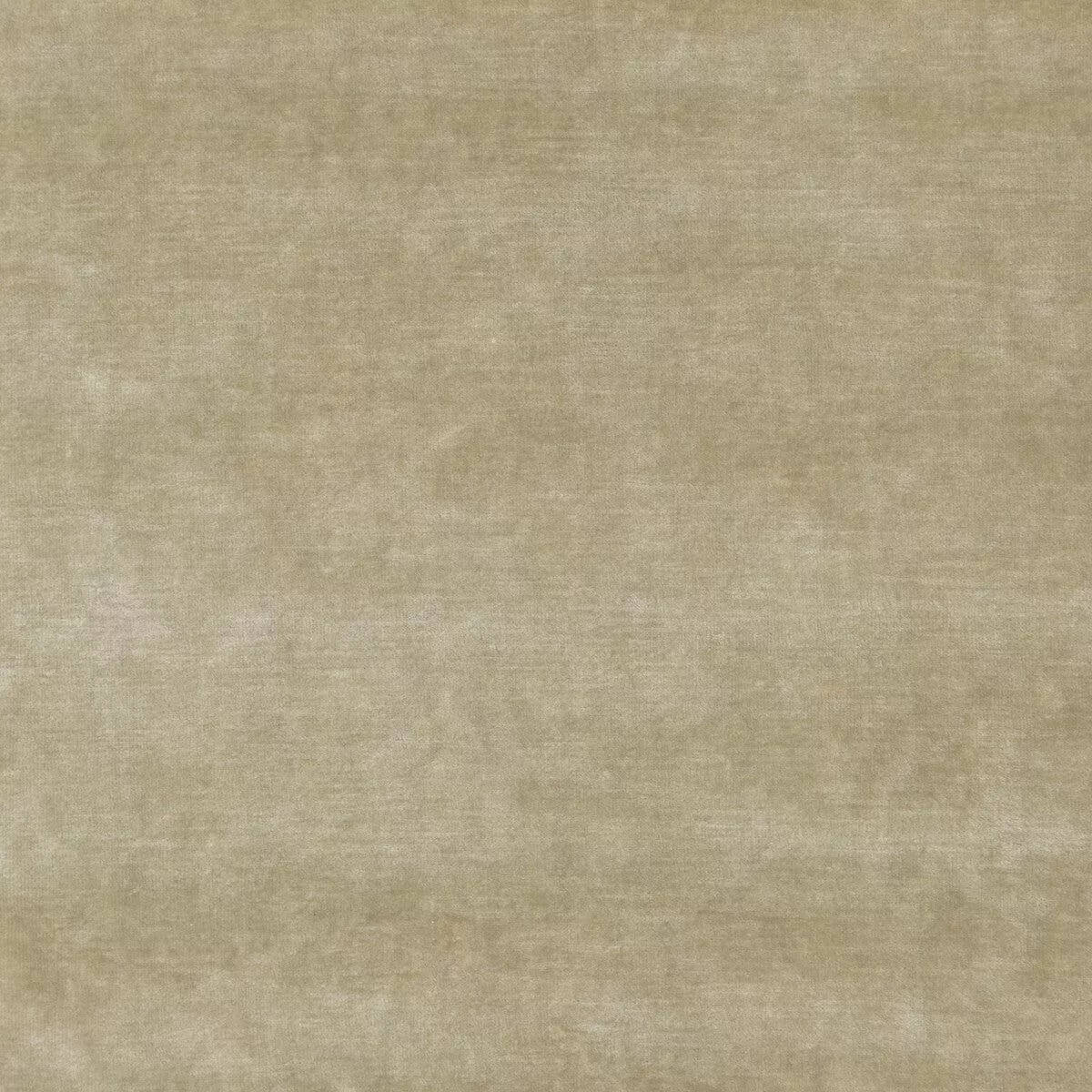 queen-s-velvet-oyster-fabric Queen’s Velvet Oyster Fabric