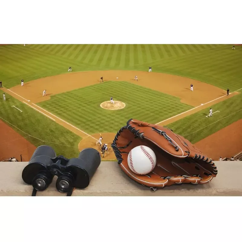 Realistic Baseball Field Fabric Panel