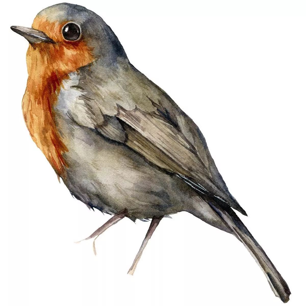 redbreast-robin-bird-fabric-panel Redbreast Robin Bird Fabric Panel