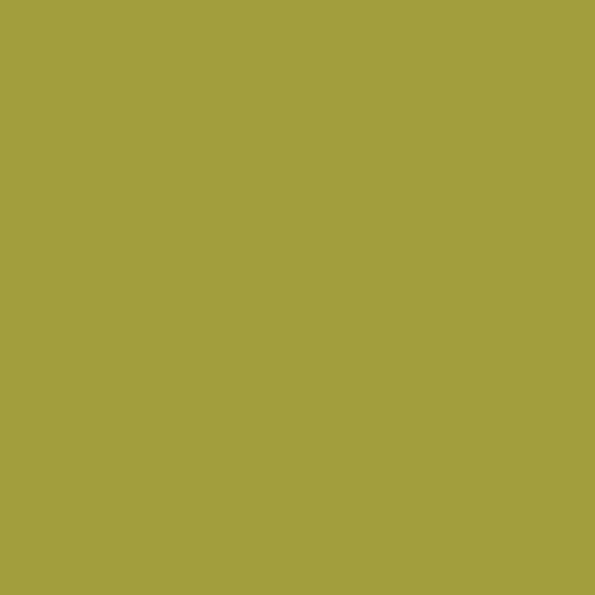 riley-blake-c120-split-pea Riley Blake – C120 Split Pea