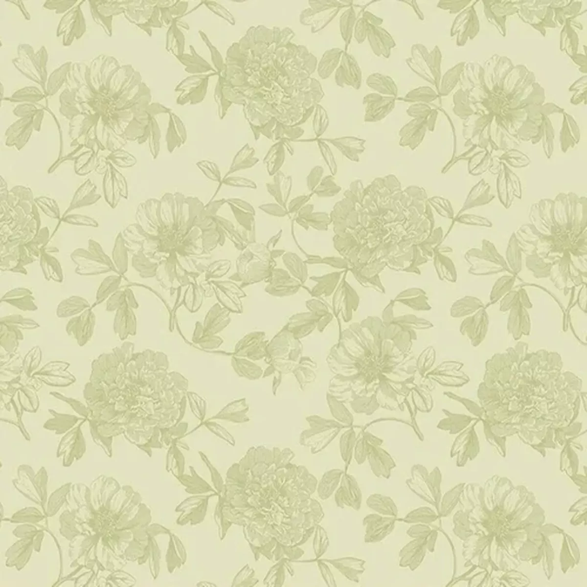 Riley Blake Springtime by My Mind’s Eye CD12811 Fern