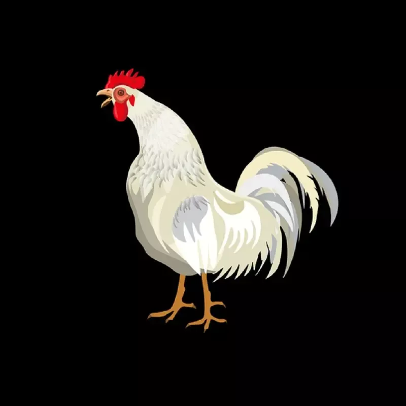 Rooster Crowing Fabric Panel – Black