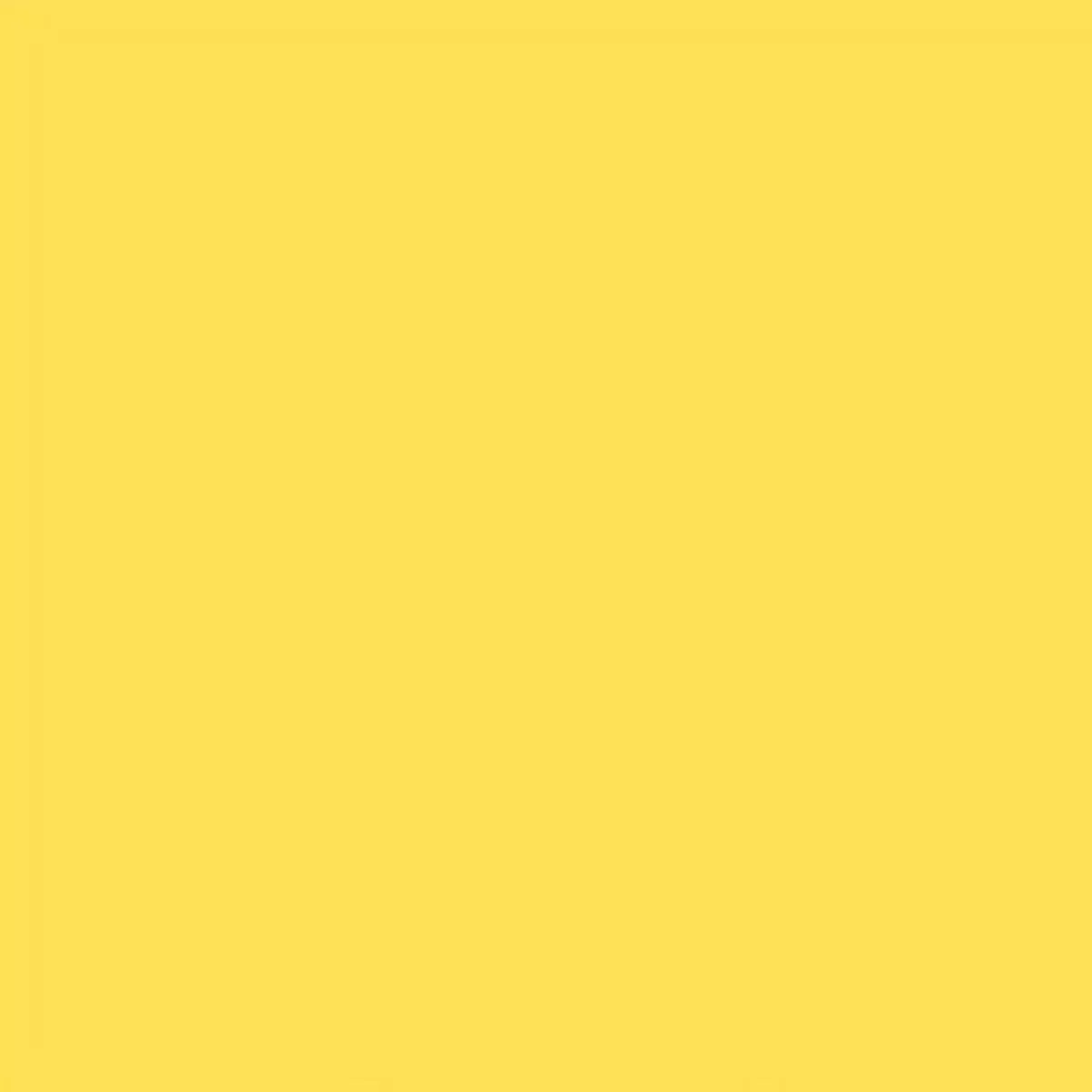 ruby-bee-meyer-lemon-35-by-heather-ross-annabel-wrigley Ruby + Bee Meyer Lemon 35 by Heather Ross + Annabel Wrigley