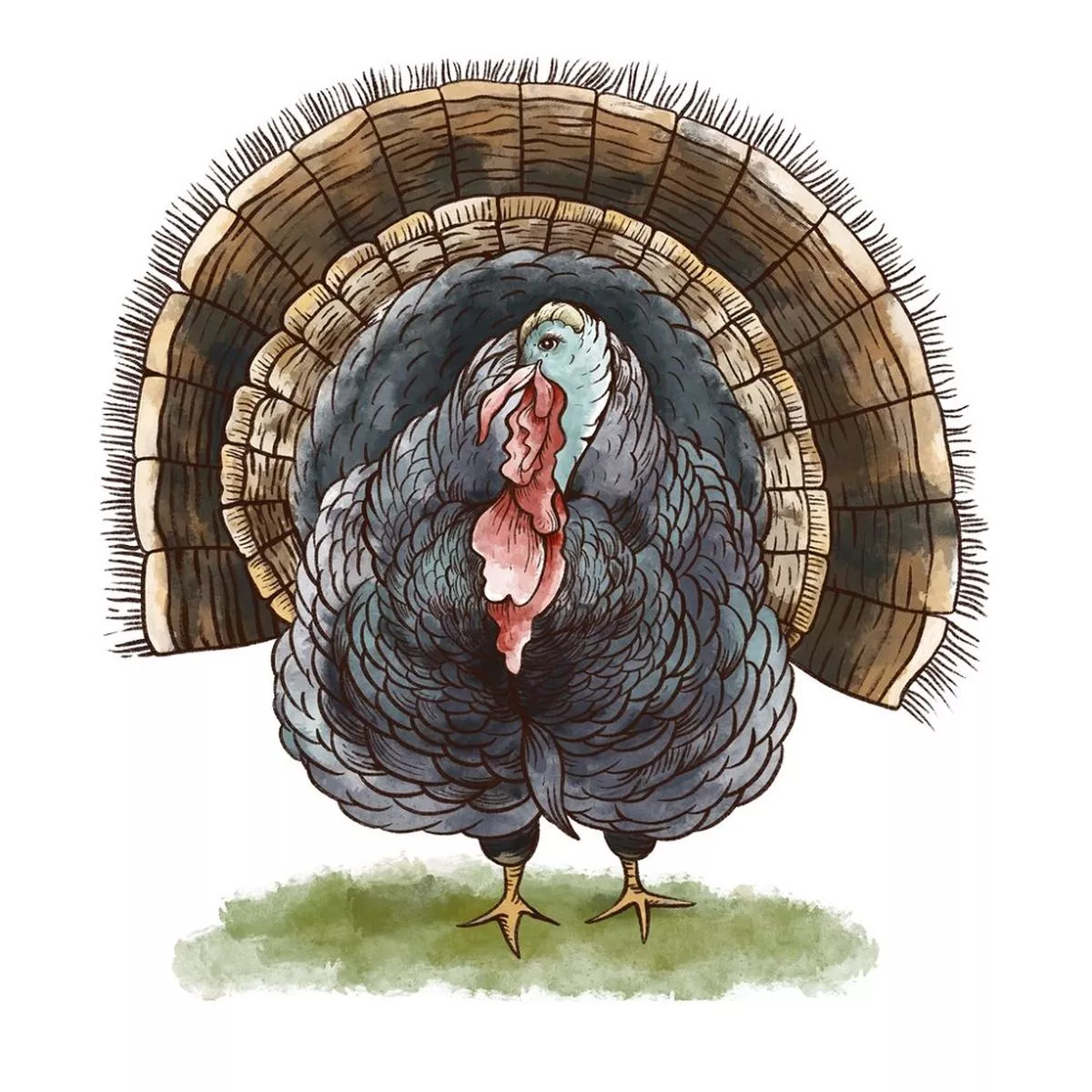 Rustic Turkey Fabric Panel