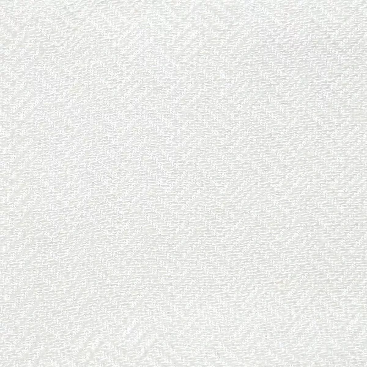 Sally Sheer – White by Scalamandre Fabric