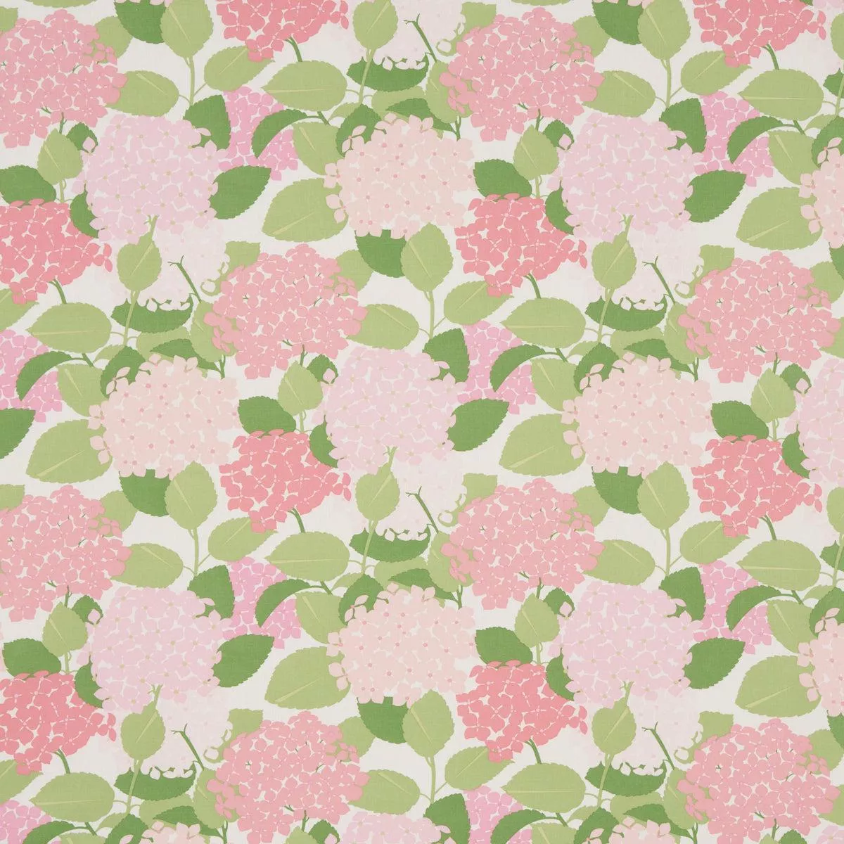 schumacher-full-bloom-hydrangea-prints-prints-petal-177585 SCHUMACHER FULL BLOOM HYDRANGEA PRINTS PRINTS PETAL – 177585