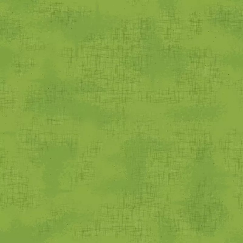 Shabby C605-Turtle
