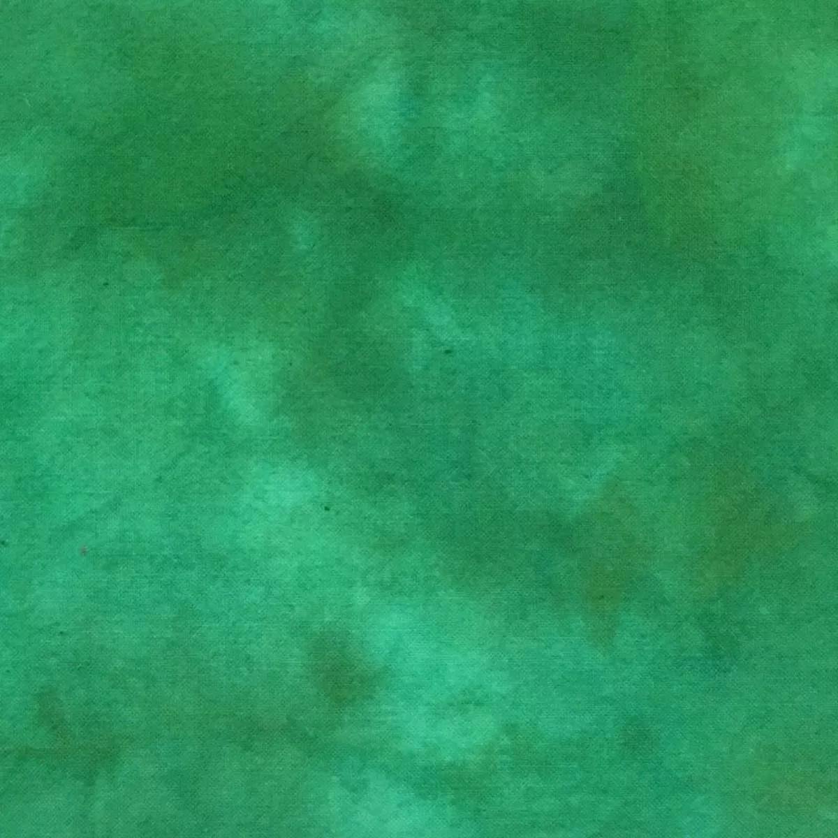 shamrock Shamrock