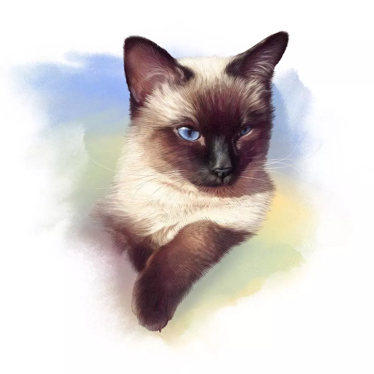 siamese-cat-portrait-fabric-panel Siamese Cat Portrait Fabric Panel