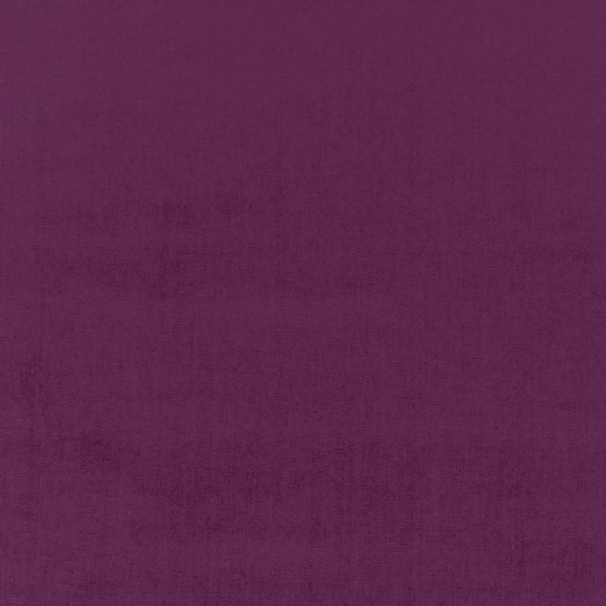 Sophia Velvet Parma Fabric