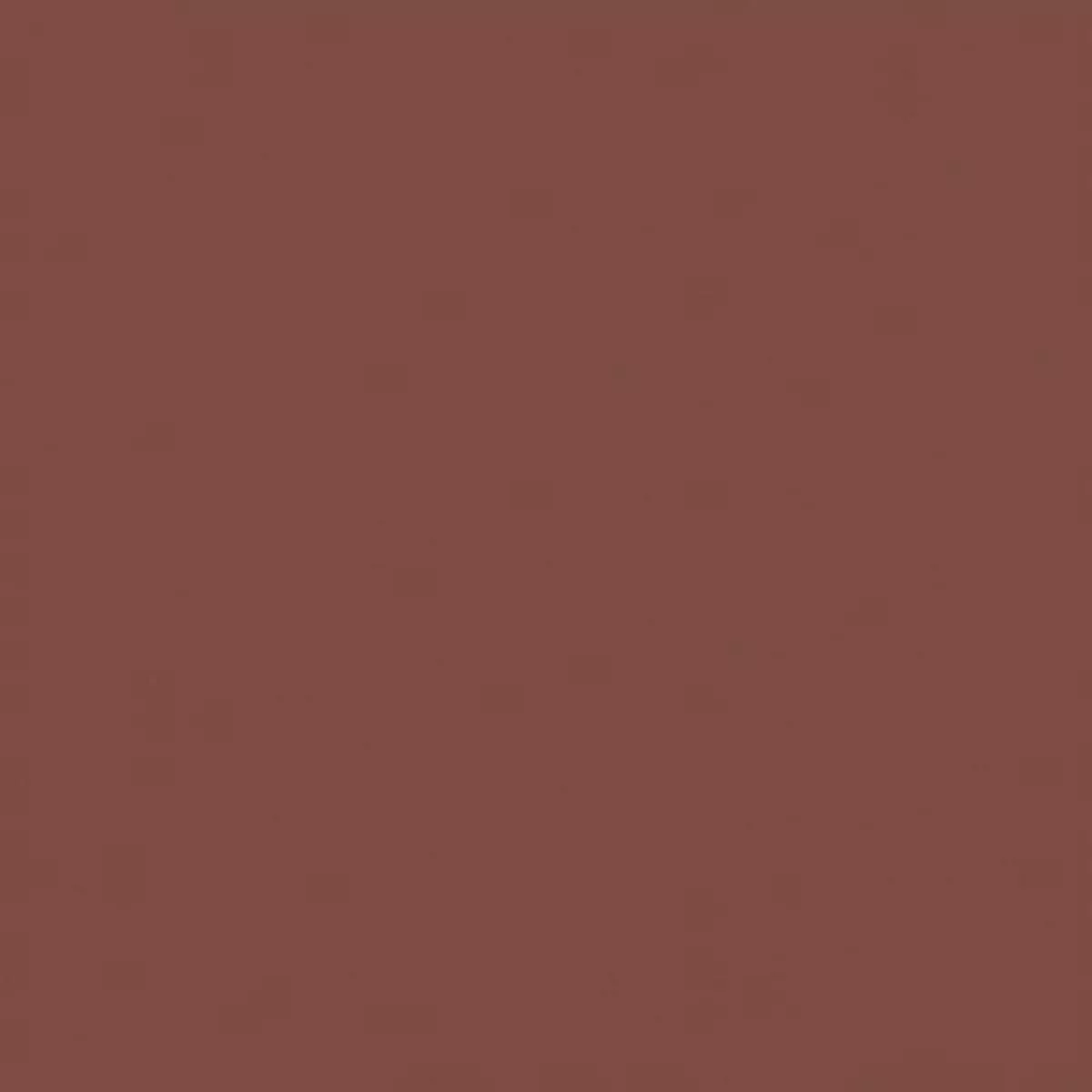 spectrum-mocha Spectrum – Mocha