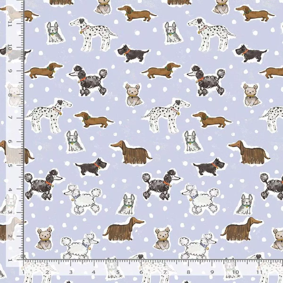 Stay Pawsitive by Clara Jean Design