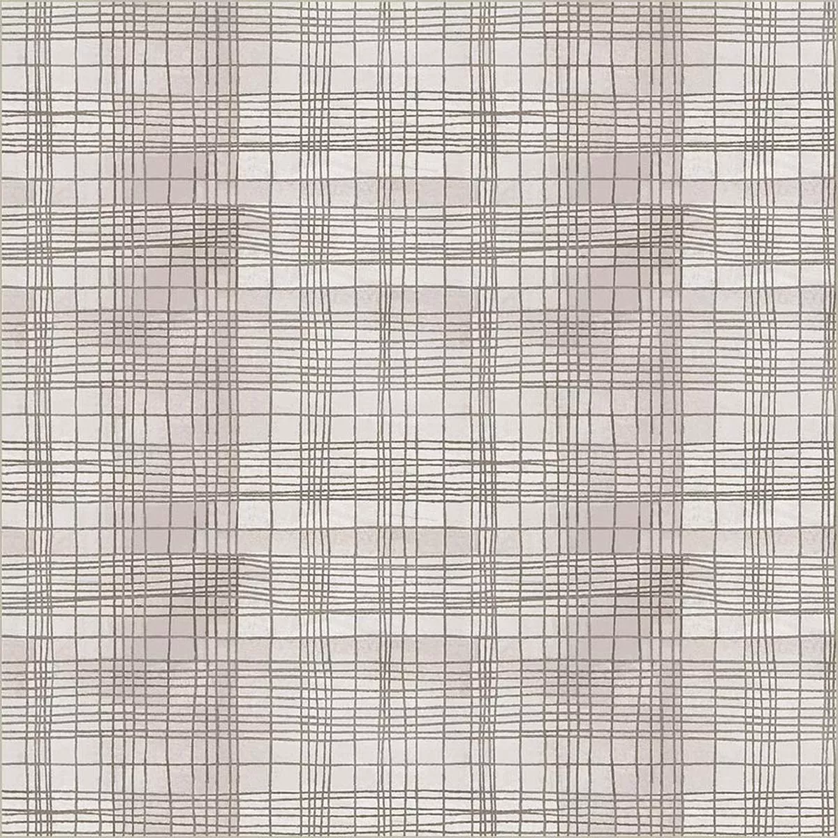 string-theory-plaid-seashell String Theory Plaid Seashell