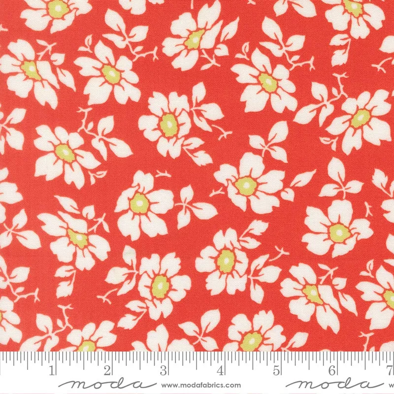 summer-s-end-persimmon-cosmos-yardage-by-fig-tree-co-moda-fabrics Summer’s End Persimmon Cosmos Yardage by Fig Tree & Co. for Moda Fabrics