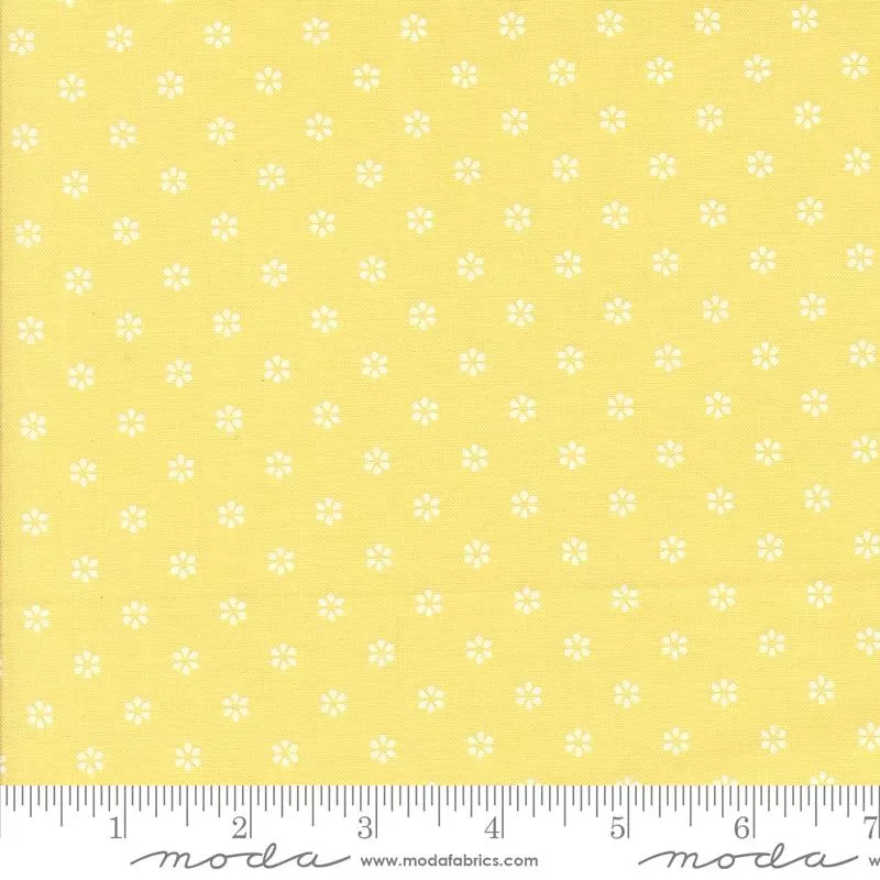 Summertime Sunshine 55322-16