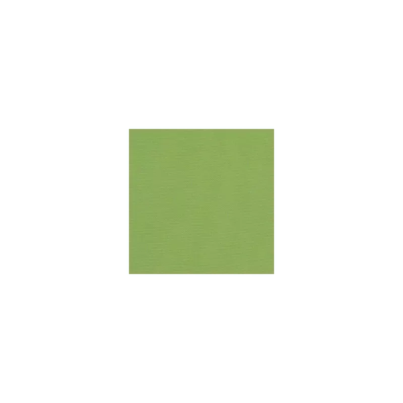 Sunbr Furn Solid Canvas 54011 Gingko Fabric