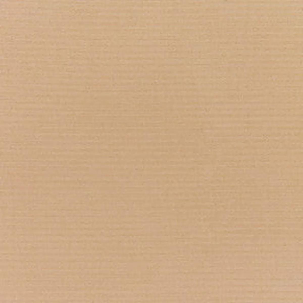 Sunbr Furn Solid Canvas 5468 Camel Fabric