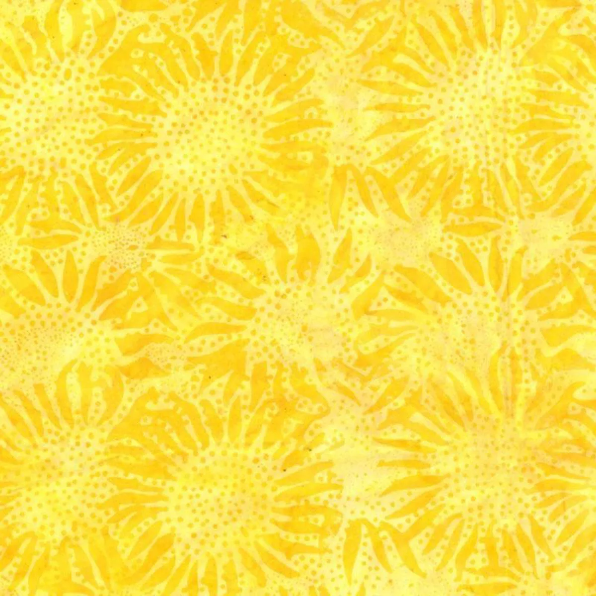Sunflower Sun by Hoffman Studio