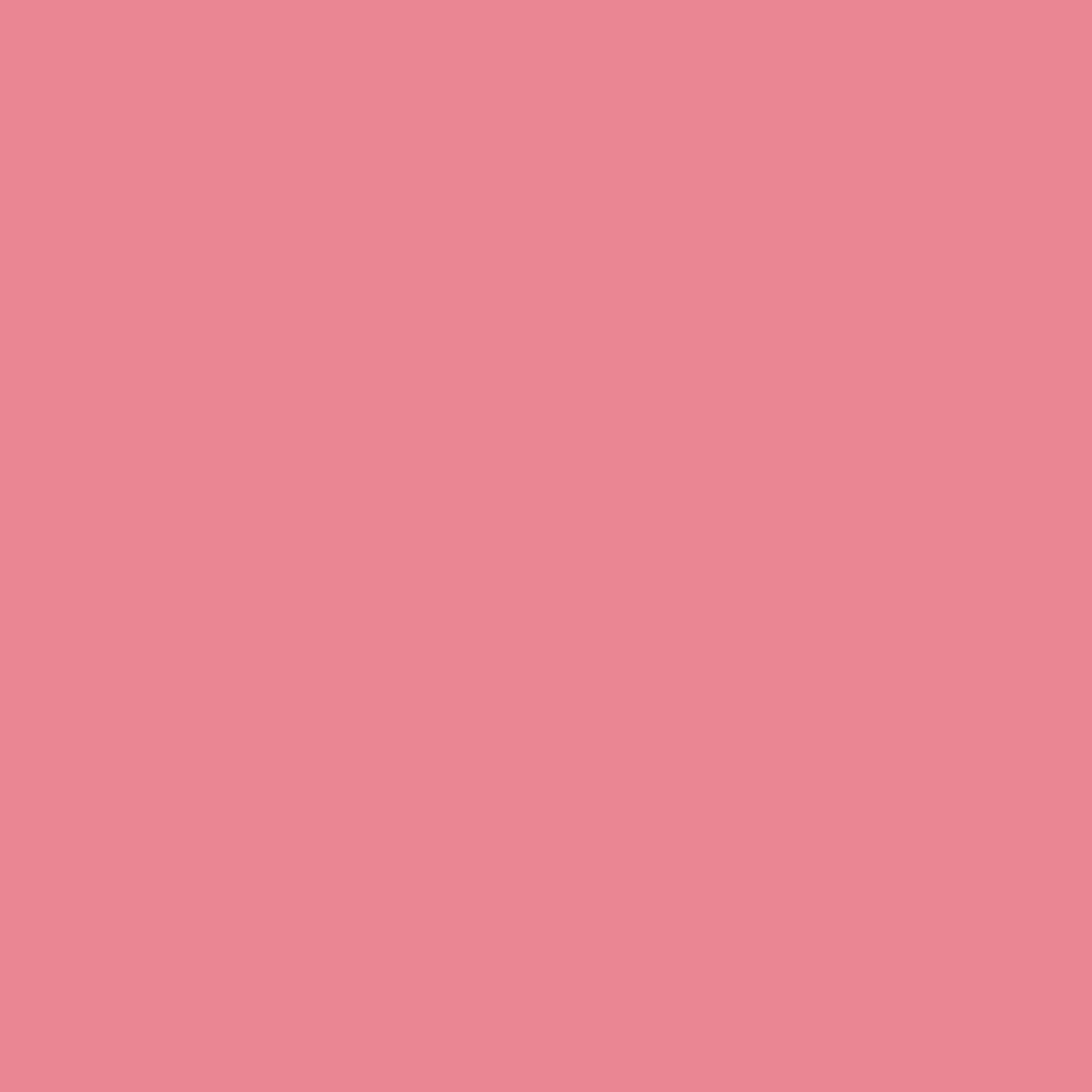 superior-solid-carnation SUPERIOR SOLID-Carnation